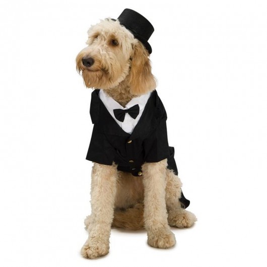 spectrum Oeganda naaien Smoking honden kostuum - Verkleedkleren Online