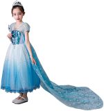 Frozen - Elsa Jurk - Prinsessenjurk - maat 92/98 (100)- Verkleedkleren Meisje - Accessoires - Blauw
