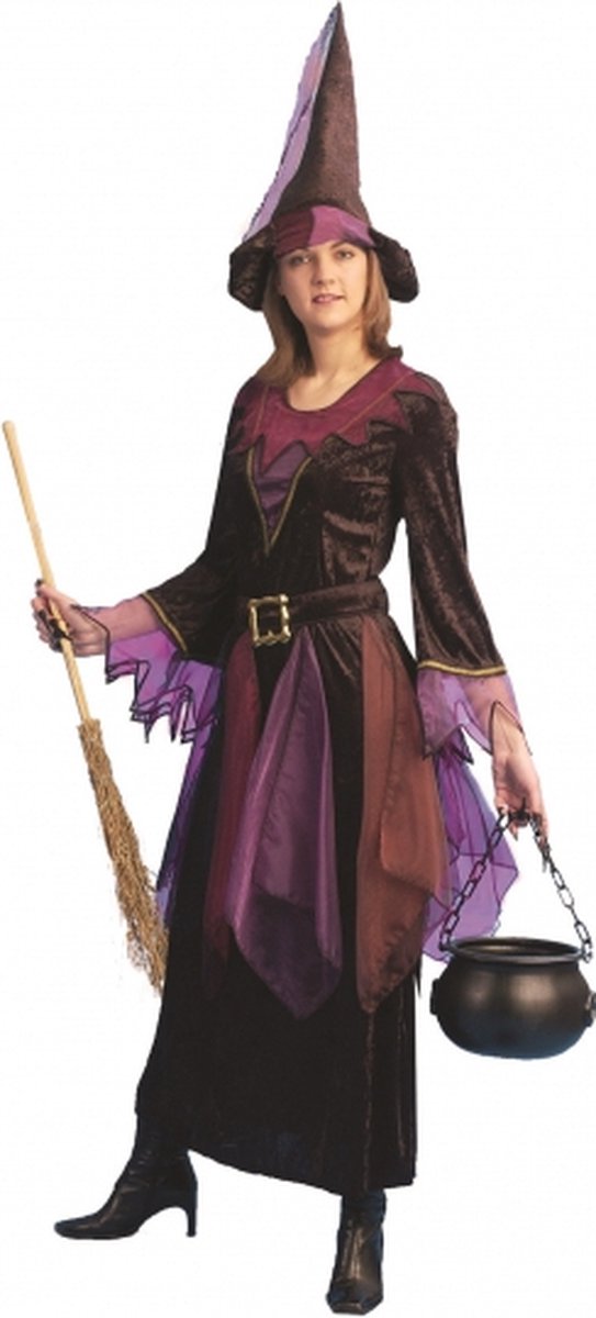 Halloween Paarse heksen jurk inclusief hoed 40-42 (l/xl)
