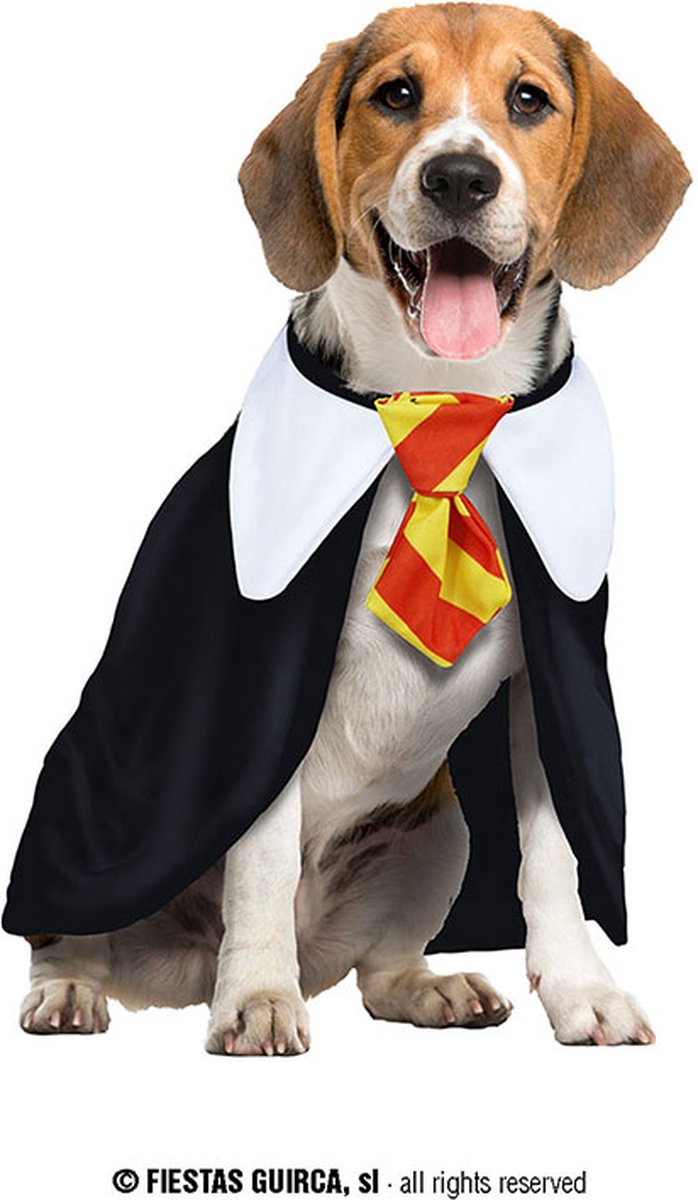Fiestas Guirca - Magic student kostuum voor de hond (Maat L)