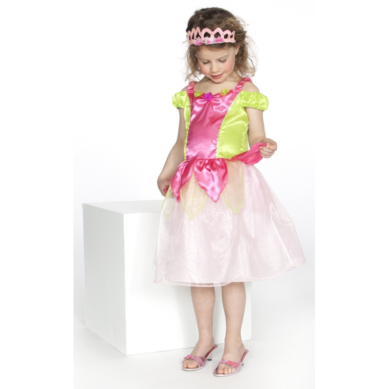 Prinsessen jurkje Kimberly roze groen 3-4 jaar (98-104) -
