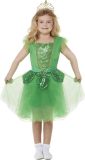 Smiffy's - Elfen Feeen & Fantasy Kostuum - St Patricks Day Fee - Meisje - Groen - Medium - Carnavalskleding - Verkleedkleding