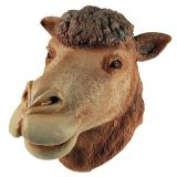 Kamelen masker voor volwassenen -