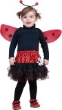Mini lieveheersbeestjes set voor baby's - verkleedkleding - Maat 98
