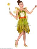 Widmann - Elfen Feeen & Fantasy Kostuum - Betoverende Alles Is Groen Bosfee - Meisje - Groen - Maat 116 - Carnavalskleding - Verkleedkleding