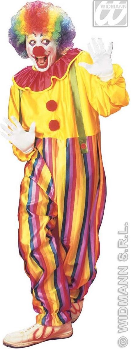 Clown & Nar Kostuum | Funny Clown Circus Kostuum Man | Medium | Carnaval kostuum | Verkleedkleding